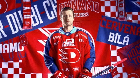 Daniel Gazda GIF by HC Dynamo Pardubice