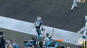 National Football League GIF by NFL