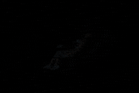 julietagracian sad beauty fall pop GIF