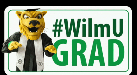 Wilmu GIF by Wilmington University