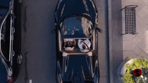 Los Angeles La GIF by Visual Smugglers