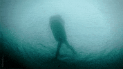 water ocean GIF by Siren