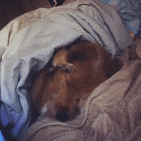 time sleepyhead GIF