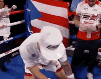 toprank fight boxing fighting espn GIF