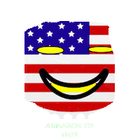 America Flag Sticker by A Reason To Feel