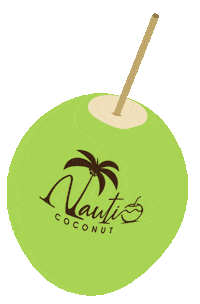 Coconut Sticker by Drink Nauti