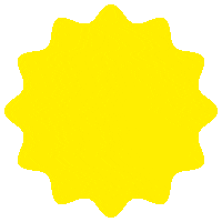 Bachelorette Cabo Sticker by Quinn Mason