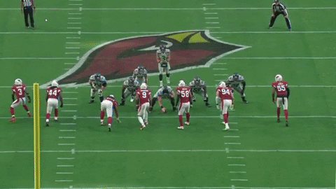 xocoveza giphyupload GIF