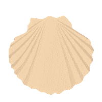 Summer Beach Sticker by harrietphillips