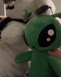 Dog Puppy GIF