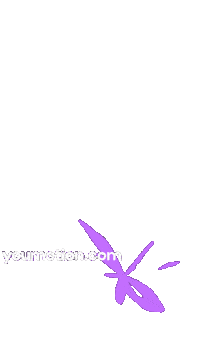 Animation Fire Sticker by youmotion.com