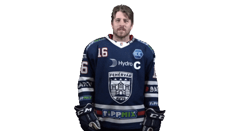 Ice Hockey Sticker by Fehervar AV19