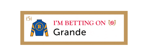 Horse Racing Sticker by Kentucky Derby