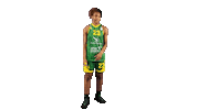 Basket Challenge Sticker by CB Alqazeres