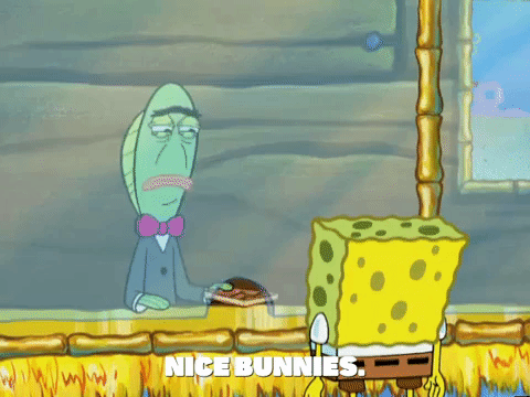 season 6 episode 13 GIF by SpongeBob SquarePants