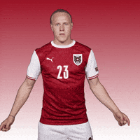 Euro 2020 Football GIF by UEFA