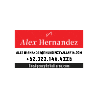 Alexpvr Sticker by The Agency PDM-PVR