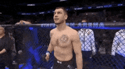 ufc sports sport ufc mma GIF