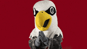 uwlacrosse slow clap uwl uwlax uwlacrosse GIF