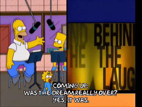 homer simpson episode 22 GIF