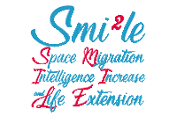 Digital Art Smile Sticker