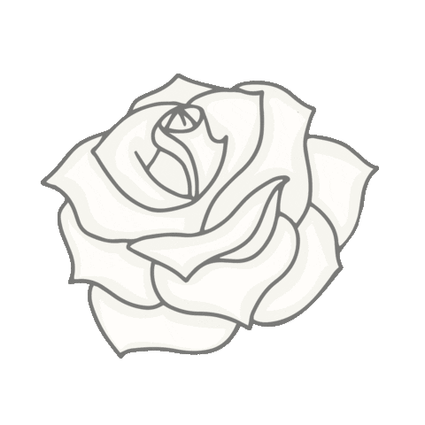 Flower Rose Sticker by Sivan Ayla
