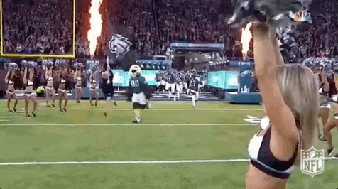 super bowl lii football GIF by NFL