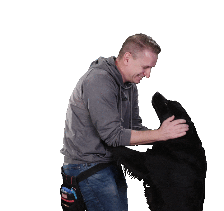 Good Boy Dog Sticker by fourplex GmbH