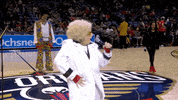 new orleans lol GIF by NBA