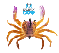 Lure Crusty Crab Sticker by Chasebaits