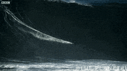 bbc one oceans GIF by BBC