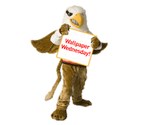 Seton Hill Wednesday Sticker by Seton Hill University