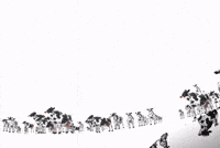 Brrd GIF