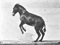 RBKheritage  GIF