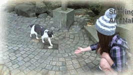 ignore GIF