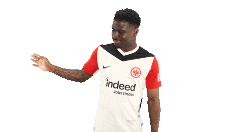 Eintracht Frankfurt Swipe Sticker by Bundesliga