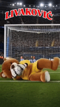 Football Fifa GIF