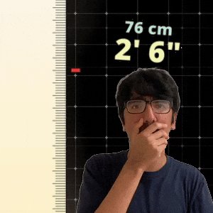 2' 6"