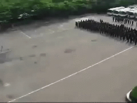 police use GIF