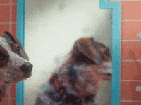 Learning New Tricks...