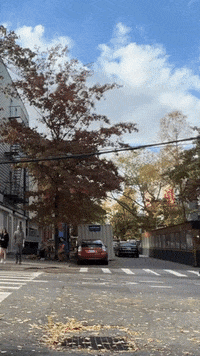 GIF by JuneShine