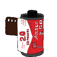 Film Camera Sticker