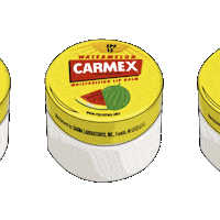 Watermelon Spf15 Sticker by CarmexUK