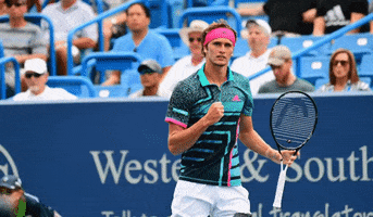 cincytennis tennis cincinnati atp mens tennis GIF
