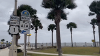 Palm Trees Sway as Tropical Storm Nicole Strengthens Towards Florida