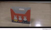 fatty GIF
