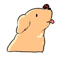 Dog Ladybug Sticker