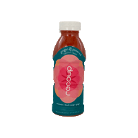 Health Ginger Sticker by Recoup Wellness