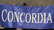 Womenslacrosse GIF by CUWFalcons