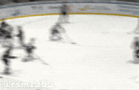 Calgary Flames GIF